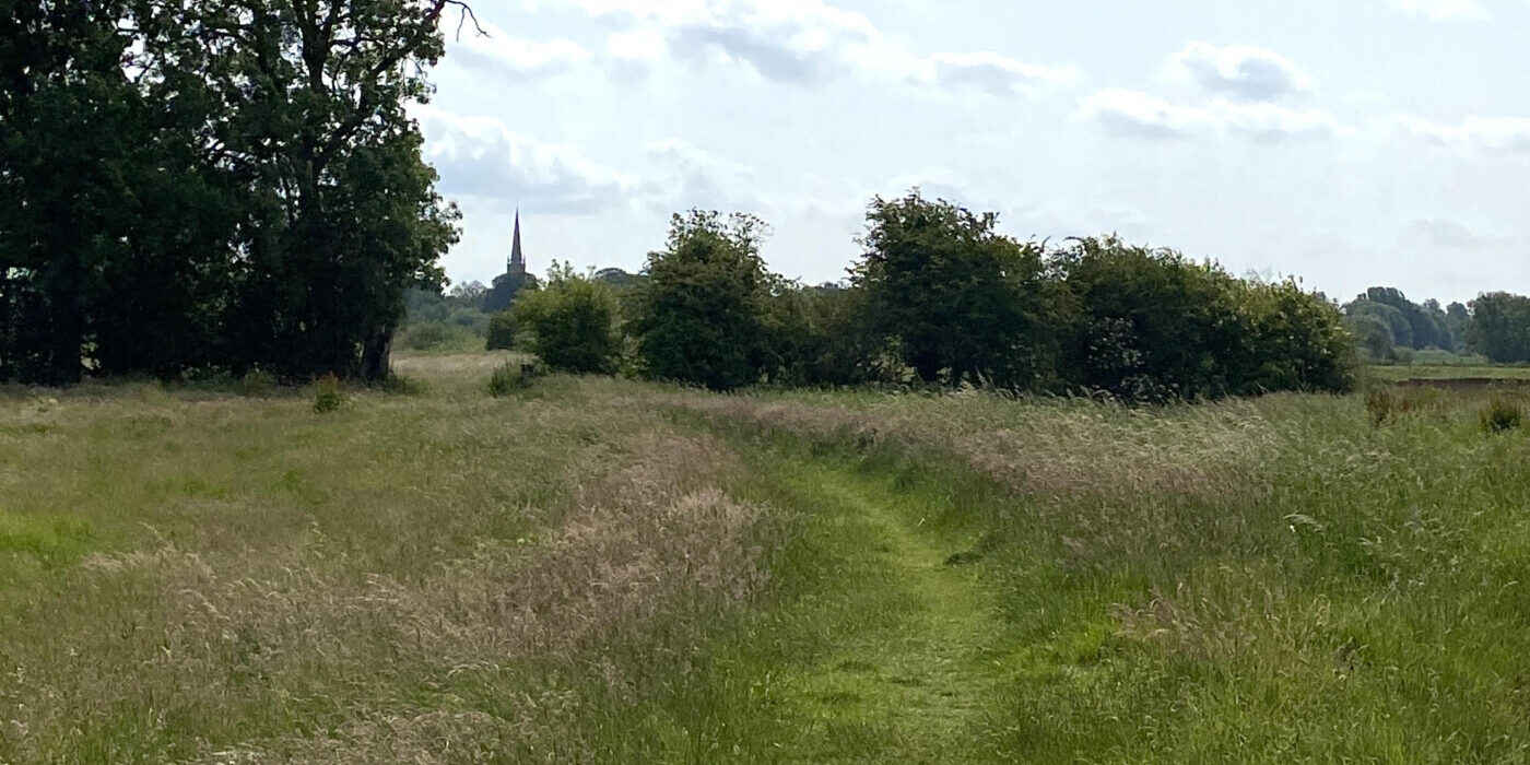 A gentle path through a field in the foreground, with a church steeple in the distance among some trees.