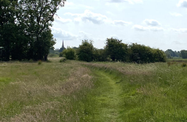 A gentle path through a field in the foreground, with a church steeple in the distance among some trees.